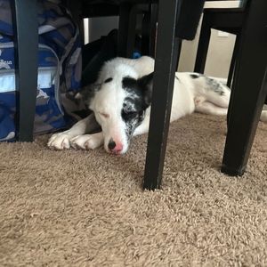 Meet your Posher, Sunniva